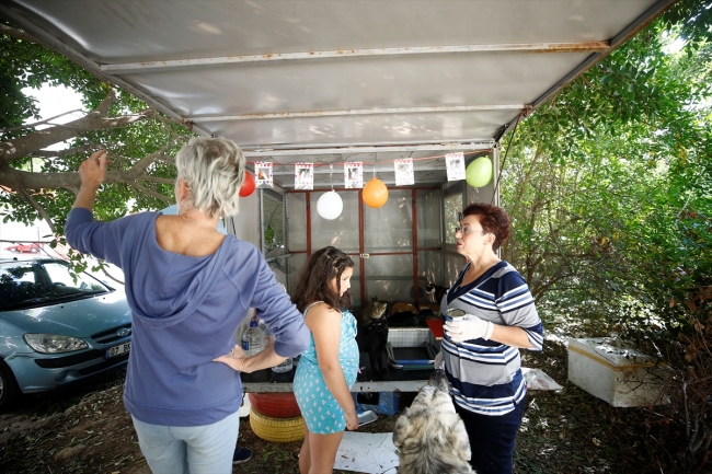 Sokak kedilerine karavandan yuva yaptılar